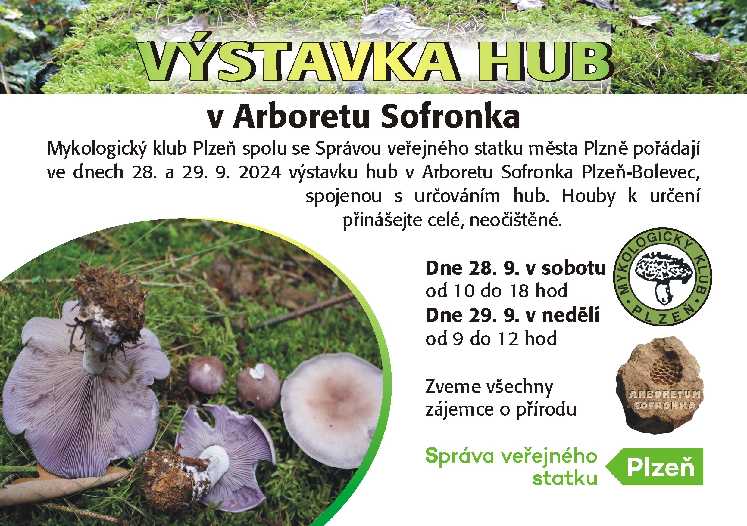 vystavahub_24_09