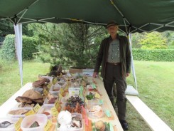 img_0374.jpg