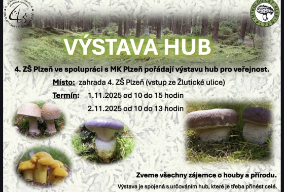 vystava-hub-zluticka.jpg